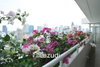 listing thumbnail image 20