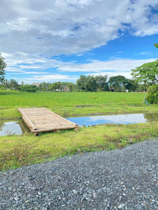 รูป ขายบ้านนอกโครงการ พร้อมที่ดิน ดอยสะเก็ด-เชียงใหม่ น้ำไม่ท่วม รพ.ดอยสะเก็ด (H447) T.0946511456 - รูปที่ 13/14