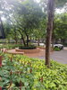 listing thumbnail image 12