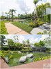 listing thumbnail image 11