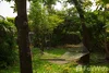 listing thumbnail image 4