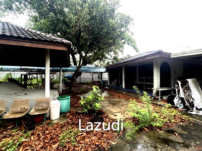 เช่าที่ดิน ลาดพร้าวตอนกลาง โชคชัย 4 ลาดพร้าว 71 นาคนิวาส : Land For Rent 400 Sq.m Ladprao 41