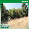 listing thumbnail image 15