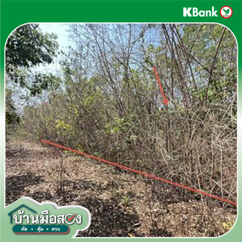 picture LAND 238 Sq.w. Chom Bung Ratchburi for 141,000 - 14/16