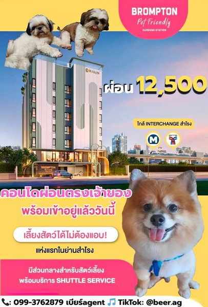 รูป A034939 Brompton Pet Friendly Samrong - Station - รูปที่ 6/8