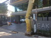 listing thumbnail image 8