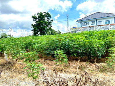 Land for sale Pinthong Industrial Estate : 460 m² Land for Sale in Nong Kham (ID 1776561)