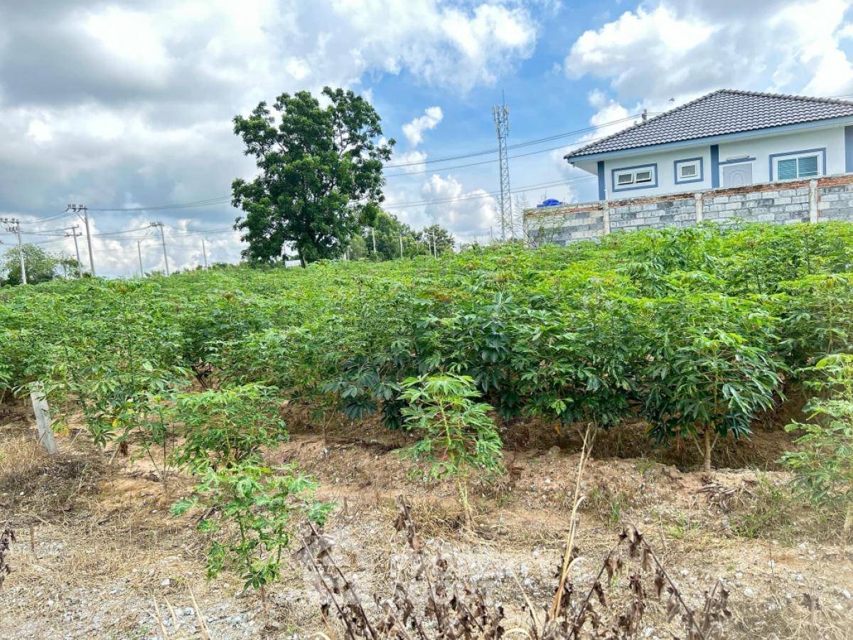 รูป ที่ดินสำหรับปล่อยขาย 460 ตารางเมตร แถว ใน หนองขาม (ID 1776561) - รูปที่ 1/3