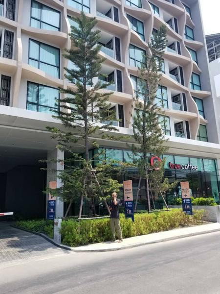 รูป A033120 Vtara Sukhumvit 36 - รูปที่ 6/8
