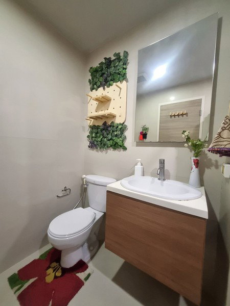 picture A035497 Hive Taksin - 8/8