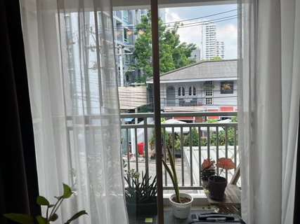 รูปภาพ A030062 49 Plus 2