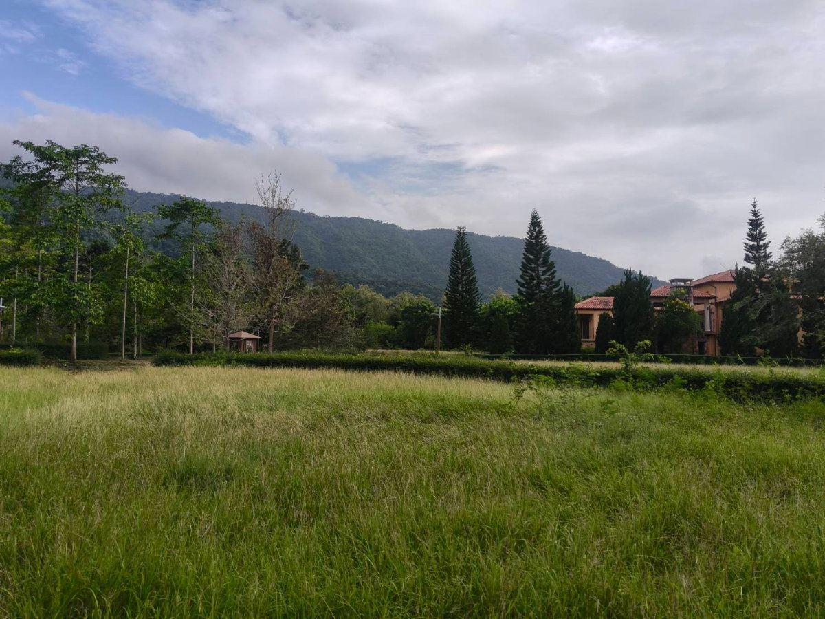 รูป ขายที่ดินเขาใหญ่ ที่ดินในโครงการทอสคานา Toscana แปลงสวย ราคาดีมาก โซนใกล้อุทยานแห่งชาติเขาใหญ่ วิวเขาสวย อากาศดีมาก เหมาะทำบ้านพักตากอากาศ 087-9074045 - รูปที่ 3/3
