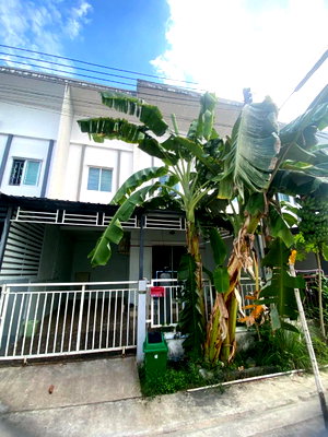 เช่าทาวน์โฮม ปลวกแดง ระยอง : ให้เช่าทาวน์โฮม ม.ลลิล ใกล้แยกวังตาผิน ปลวกแดง ระยอง