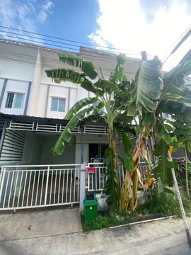 ให้เช่าทาวน์โฮม ม.ลลิล ใกล้แยกวังตาผิน ปลวกแดง ระยอง