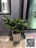 listing thumbnail image 15