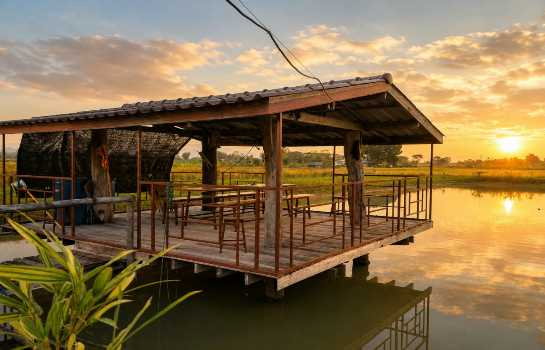 รูป ขายที่ดินอำเภอแม่จัน 2 ไร่ 3 งาน 40 ตรว พร้อมบ้านไม้สัก-ชิงชัน วิวดี ใกล้ธรรมชาติ - รูปที่ 11/11