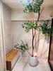 listing thumbnail image 4