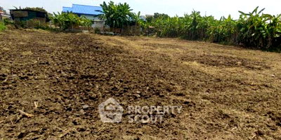 Land for sale San Pa Tong Chiang Mai : 7,596 m² Land for Sale in Ban Klang (ID 2900982)