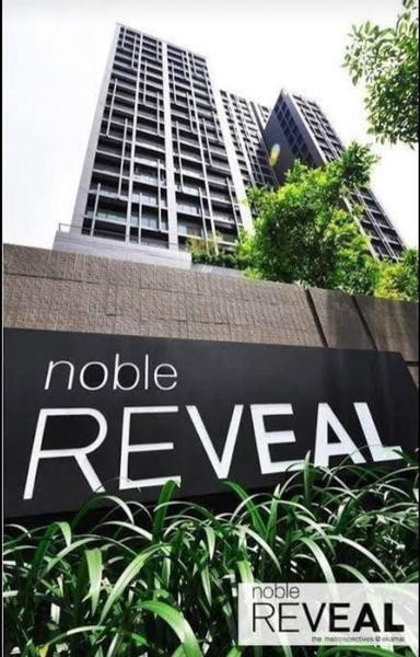 picture A031577 Noble Reveal - 7/8