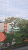 listing thumbnail image 31