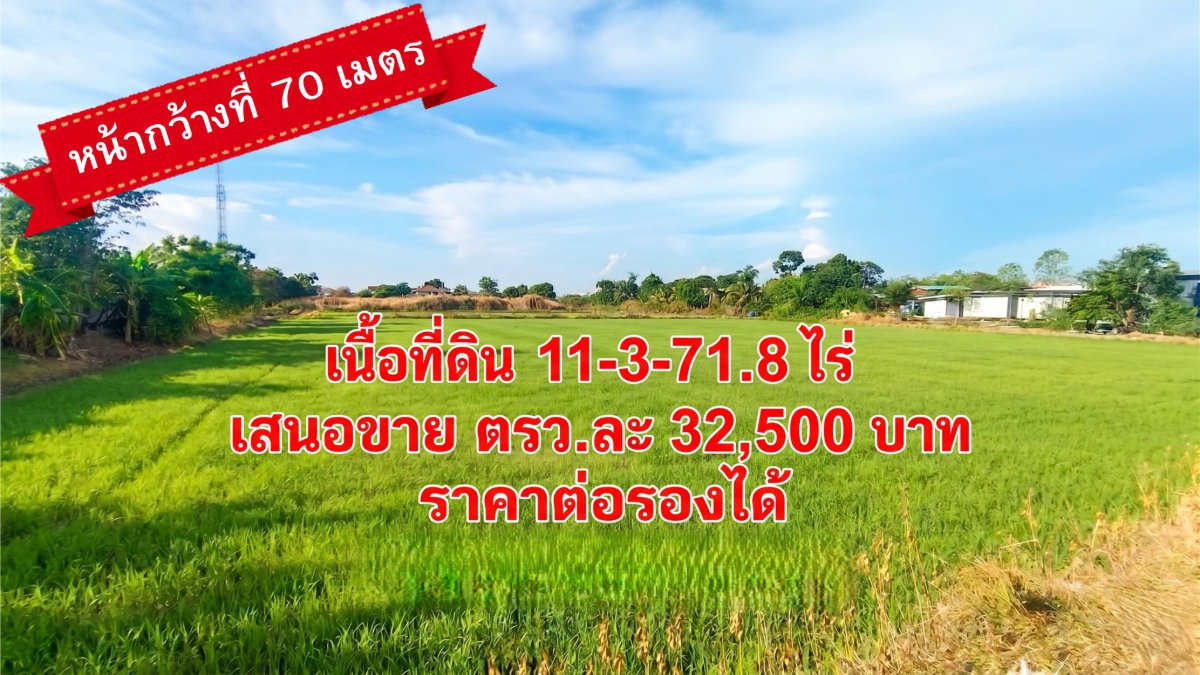 รูป ขายด่วน ที่ดิน 11 ไร่ 3 งาน 71.8 ตรว.ที่ดินผืนงาม ทำเลทองบางใหญ่ ใกล้แหล่งชุมชนและเทศบาล - รูปที่ 7/12