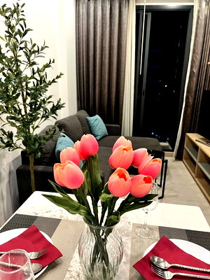Condos for rent : A035460 M Thonglor 10