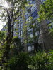 listing thumbnail image 19