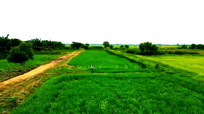 Land for sale MRT Bang Khun Non : Empty land for sale, Phra Achan Ongkharak, Nakhon Nayok
