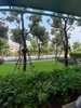 listing thumbnail image 7