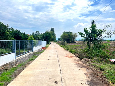 ที่ดิน เพชรบูรณ์ : ขายที่ดิน ที่นา ตรงข้ามวัดไผ่ขวาง อ.หนองไผ่ เพชรบูรณ์ 14 ไร่