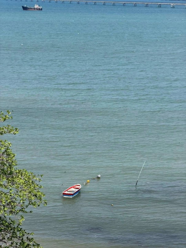 รูป ขายด่วน ที่ดินทำเลดีติดทะเลแปลงสวย 2 ไร่กว่า ชายหาดศรีราชา - รูปที่ 11/13