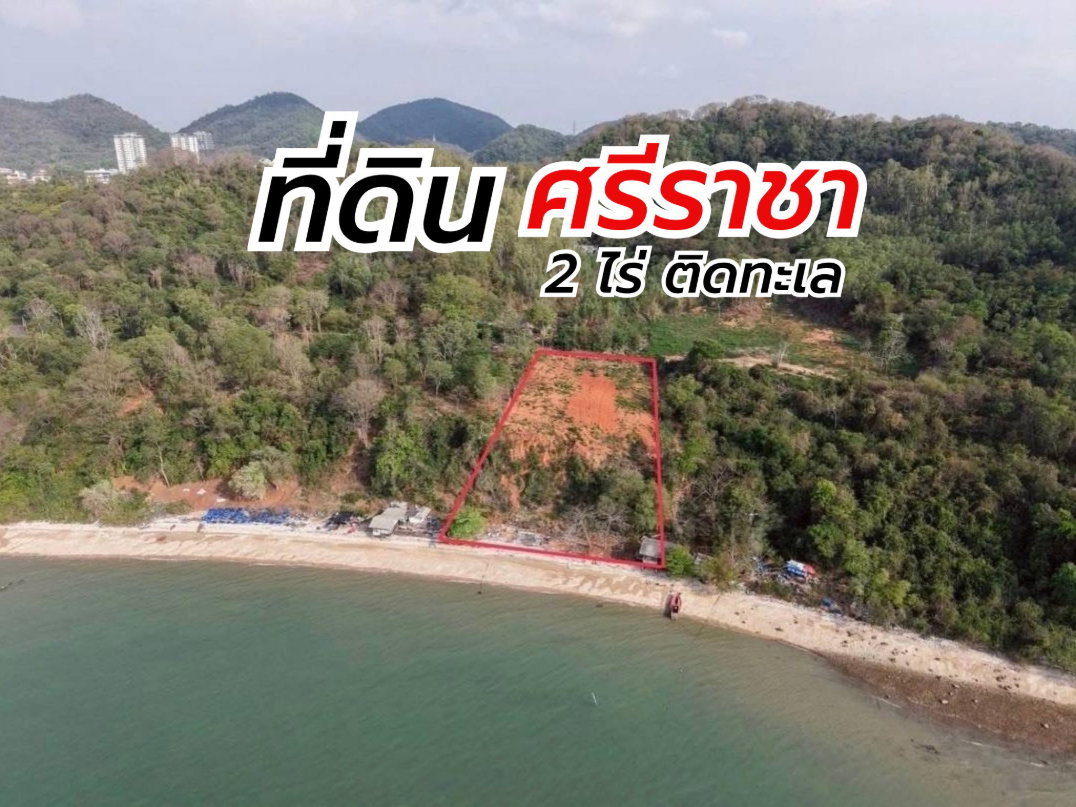 รูป ขายด่วน ที่ดินทำเลดีติดทะเลแปลงสวย 2 ไร่กว่า ชายหาดศรีราชา - รูปที่ 8/13