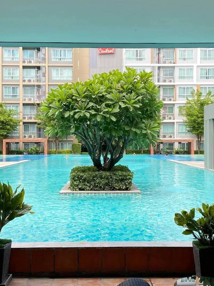 รูป 🏢 ขาย D Condo Sign เชียงใหม่ 🔥 เพียง 2.1 ล้าน‼️คอนโดวิวสระ ติดเซ็นทรัลเฟส เดินไปห้างได้เลย 🏊🛍️ - รูปที่ 2/8
