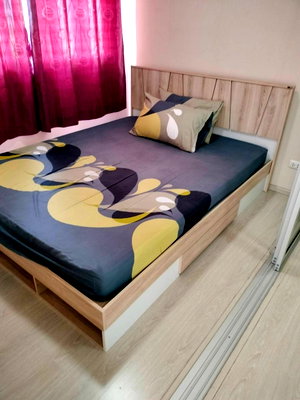 Condos for rent Thammasat University, Rangsit Campus : Plum Condo Park Rangsit For Rent.