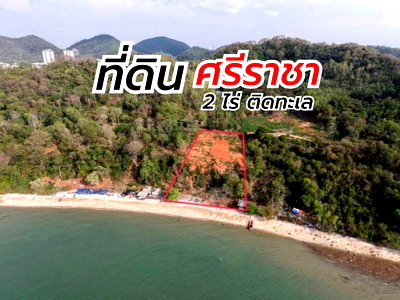 ที่ดิน เซ็นทรัล ศรีราชา : ขายด่วน ที่ดินทำเลดีติดทะเลแปลงสวย 2 ไร่กว่า ชายหาดศรีราชา