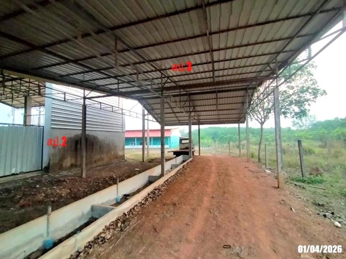 รูป โกดัง 2000 ตร.วา เมืองบึงกาฬ บึงกาฬ 5.5M - รูปที่ 27/32