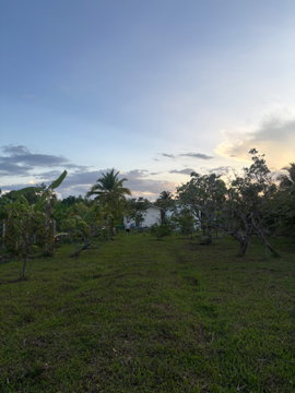 เหมาะสร้างบ้านสวน! ขายที่ดิน 1 งาน พิกัดใกล้ป่าซาง ลำพูน บรรยากาศดี ร่มรื่น