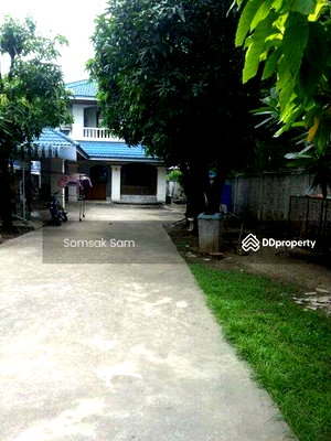 เช่าบ้านเดี่ยว วิทยาลัยพณิชยการบางนา : ให้เช่าบ้านเดี่ยว ใกล้สถานีรถไฟฟ้าแบริ่ง กทม. เนื้อที่ 130 ตรว