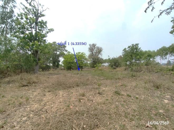 รูป ที่ดินว่างเปล่า 2669 ตร.วา เรณูนคร นครพนม 1.5M - รูปที่ 4/30