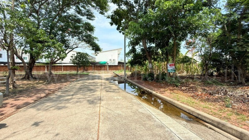 รูป ที่ดินถมแล้ว หมู่บ้าน ชัยพฤกษ์ วงแหวน - รัตนาธิเบศร์ ซอยวัดลาดปลาดุก ราคาถูก - รูปที่ 5/10
