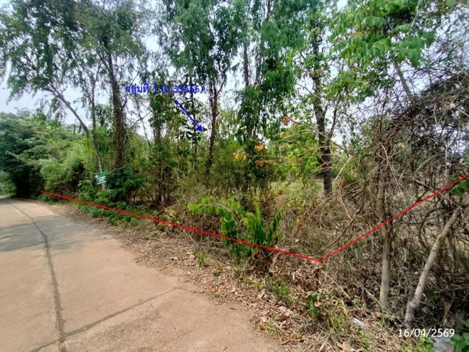 รูป ที่ดินว่างเปล่า 2669 ตร.วา เรณูนคร นครพนม 1.5M - รูปที่ 2/30