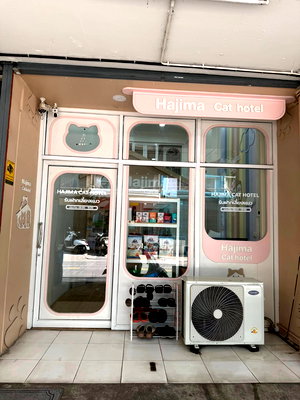 Apartment building for sale Ratchadaphisek : WS7463 ‼️ Cat hotel business for sale, prime location near MRT Huai Khwang 🔥‼️ Only 2.2 million baht 💰