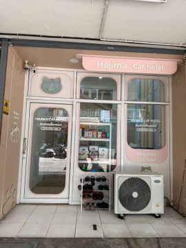 WS7463 ‼️ Cat hotel business for sale, prime location near MRT Huai Khwang 🔥‼️ Only 2.2 million baht 💰