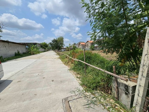 รูป ขายที่ดินเปล่า ซอยปุณณวิถี 39 ใกล้ BTS ปุณณวิถี เดินทางสะดวก (N.2086) - รูปที่ 6/8
