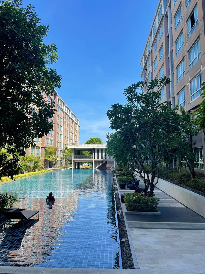 picture  Dcondo campus resort For Sale Size: 30 sqm, 4th Floor    - 7/12