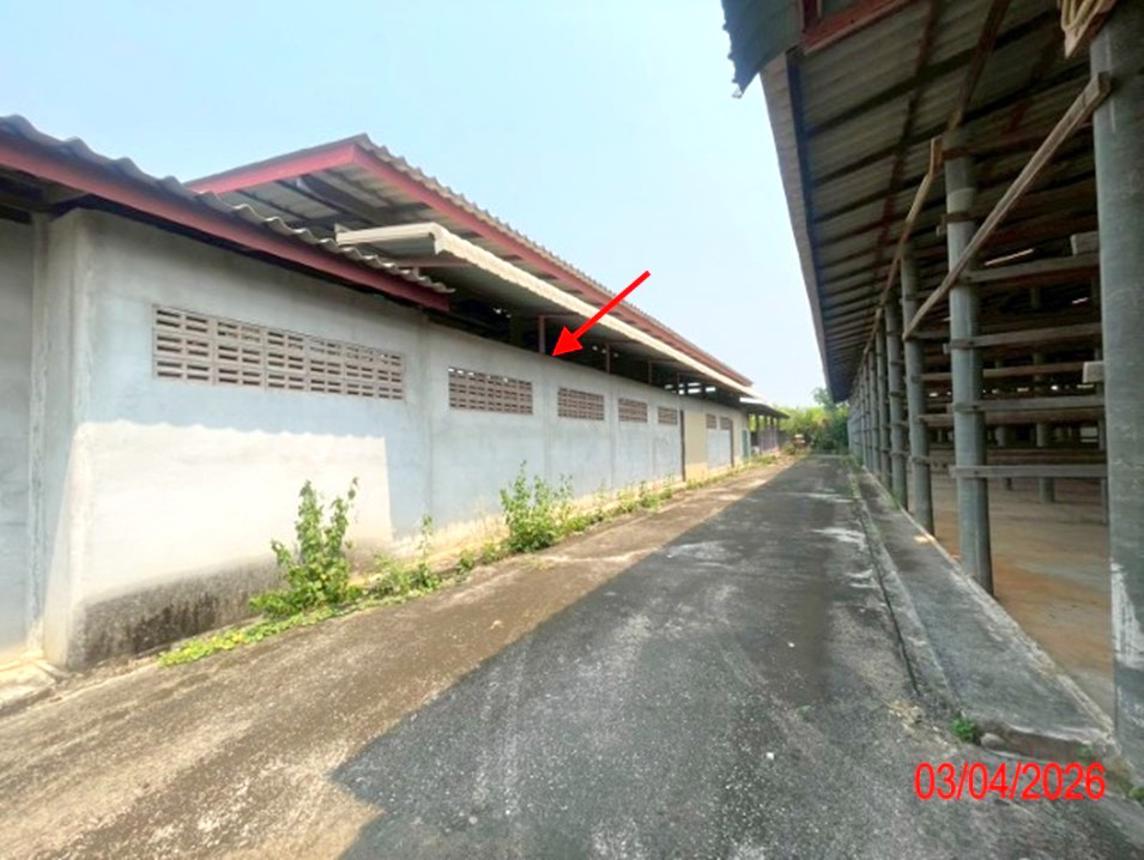 รูป โกดัง 395.1 ตร.วา บ้านโฮ่ง ลำพูน 1.5M - รูปที่ 24/44