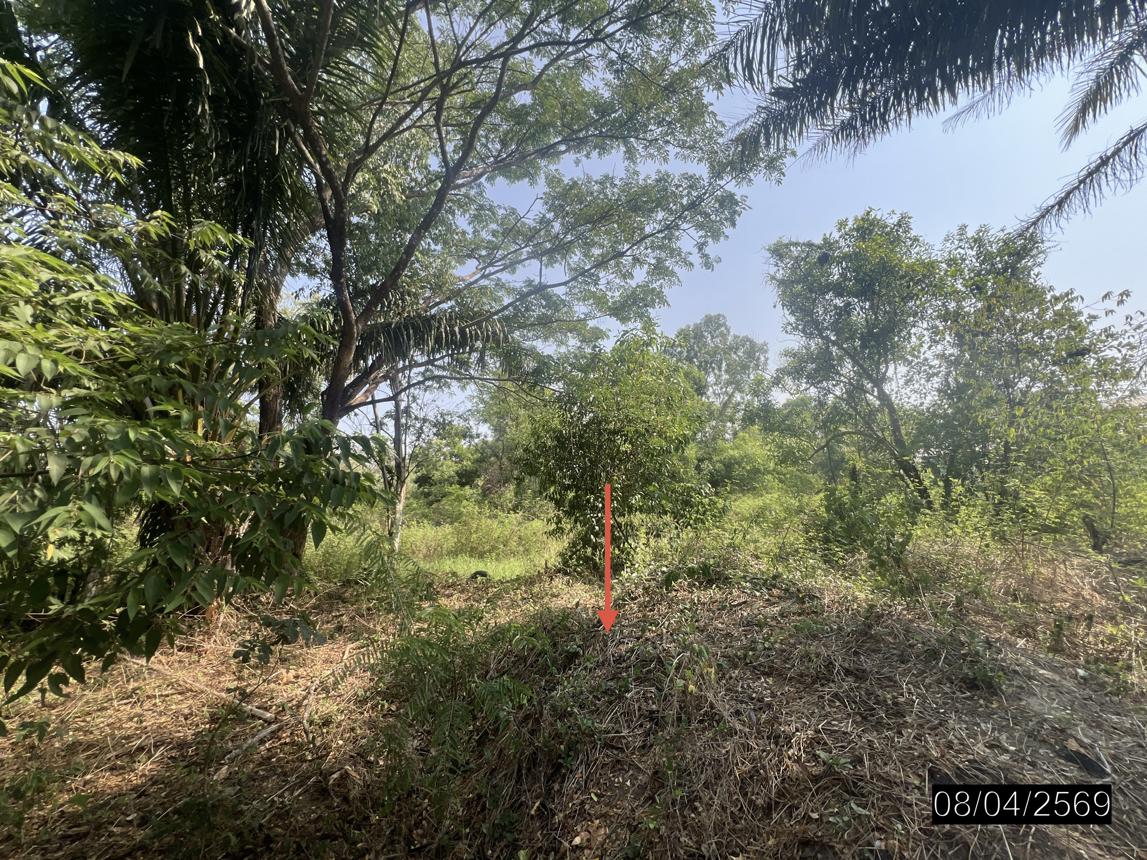 picture HOME 460.9 Sq.w. Muang Ubon Ratchathani Ubon Ratchathani for 2.1M - 28/34