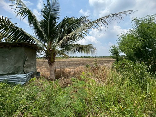 รูป ขายที่ดินสวย ถมแล้วพร้อมใช้ ซอยสุวินทวงศ์47 **เพียง 900,000 บาท** ราคาดี เหมาะลงทุน🏡 (N.2095) - รูปที่ 3/7