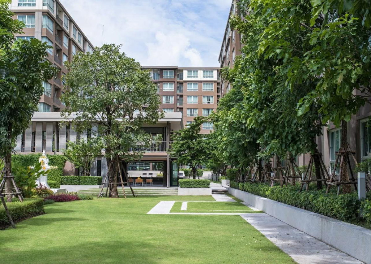 picture  Dcondo campus resort For Sale Size: 30 sqm, 4th Floor    - 9/12
