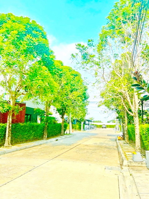 รูป ใกล้ รร.ศิริวัฒน์วิทยา 1 กม.เพิ่มสิน พหลโยธิน 54 ทาวน์โฮม 2 นอน 3 น้ำใกล้ตลาดเอสทีเพิ่มสิน 1.7 กม 2 ชั้น 18 ตร.ว. - รูปที่ 8/8